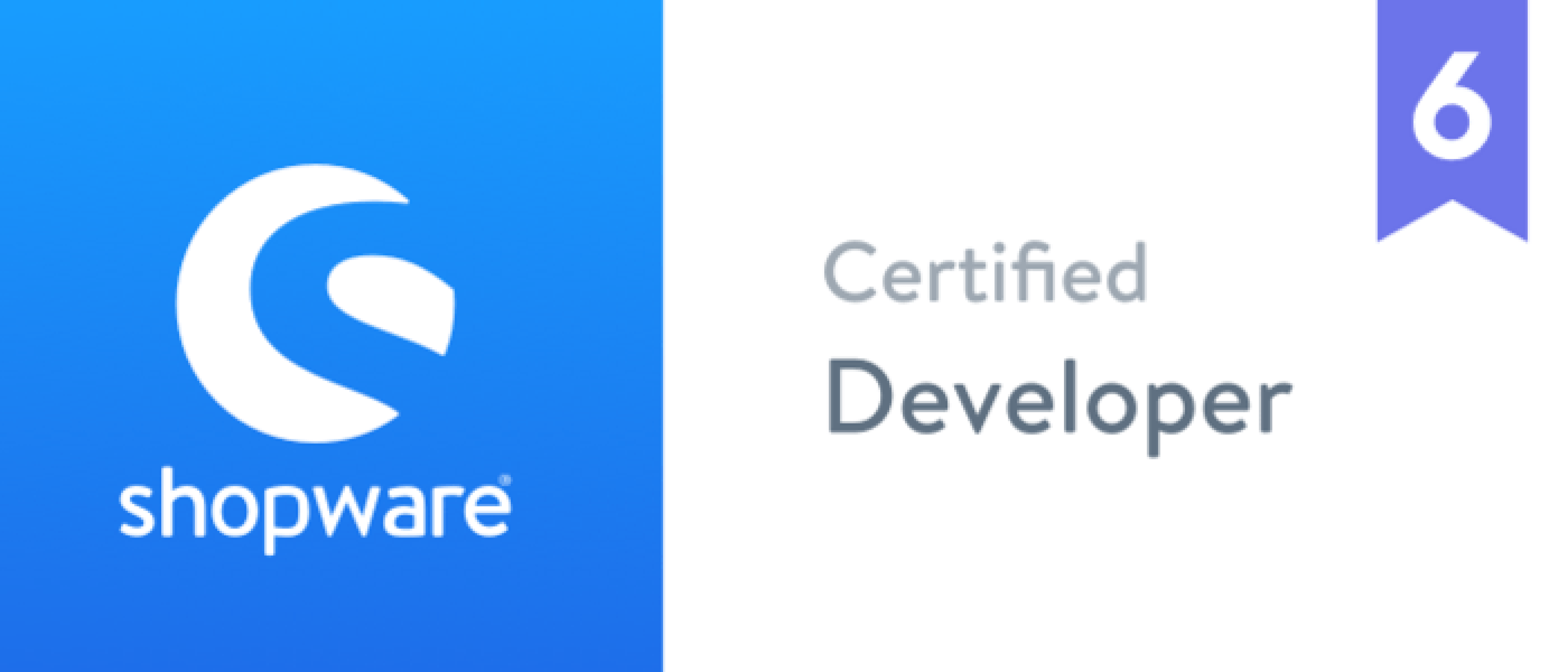 Shopware 6 Certified Developer