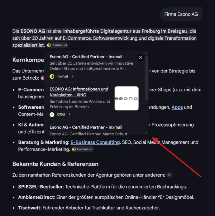 Ein Fenster zeigt Informationen über die ESONO AG, eine Digitalagentur aus Freiburg, mit Partner- und Leistungsdetails.
