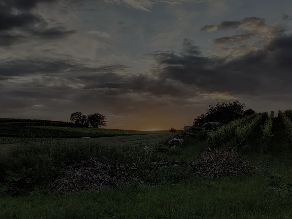 Dämmerung über ländlicher Landschaft mit Feldern, Bäumen und bewölktem Himmel.