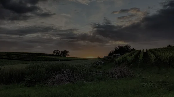 Dämmerung über ländlicher Landschaft mit Feldern, Bäumen und bewölktem Himmel.