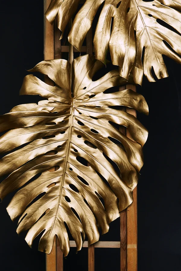 Goldene Monstera-Blätter auf einer Holzleiter vor dunklem Hintergrund.