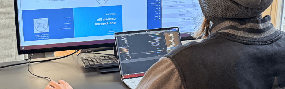 Webentwicklung_Esono