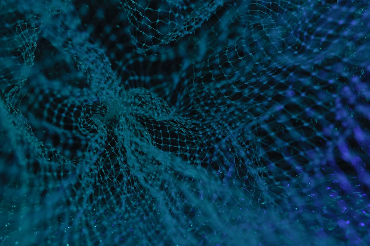 Abstraktes Netz aus leuchtend blauen und violetten Fasern vor dunklem Hintergrund. Struktur wirkt organisch und vernetzt.