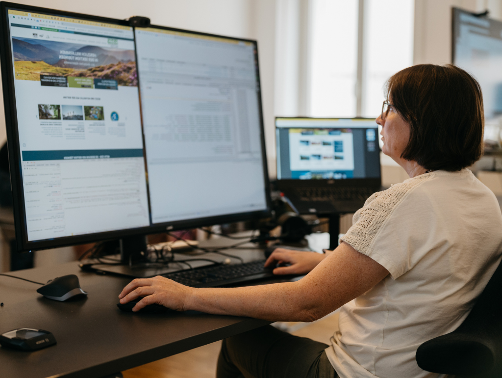 Webentwicklung