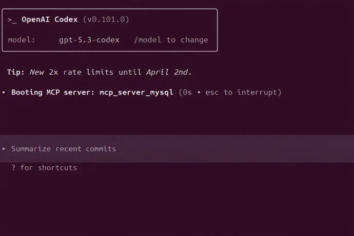 Benutzeroberfläche von OpenAI Codex mit Befehlen zur Server-Nutzung und Tipp zu Datenlimits.